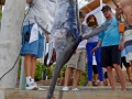 31MAY2014CPYCDolphinDock_043