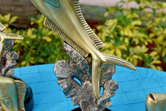 29MAY2014CPYCDolphin_008