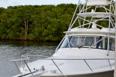 29MAY2014CPYCDolphin_014