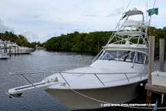 29MAY2014CPYCDolphin_015