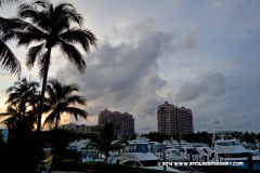 29MAY2014CPYCDolphin_041