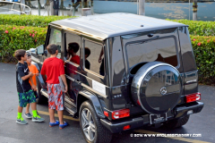 29MAY2014CPYCDolphin_043