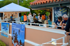 29MAY2014CPYCDolphin_044
