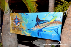 29MAY2014CPYCDolphin_055