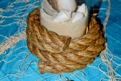 29MAY2014CPYCDolphin_061