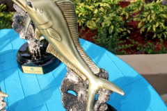 29MAY2014CPYCDolphin_078