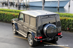 29MAY2014CPYCDolphin_093
