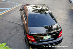 29MAY2014CPYCDolphin_095