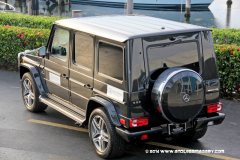 29MAY2014CPYCDolphin_140