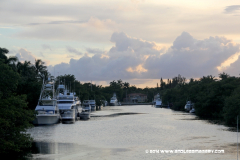 29MAY2014CPYCDolphin_153