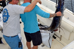 31MAY2014CPYCDolphinDock_037
