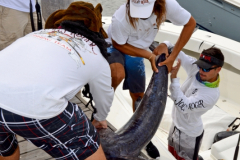 31MAY2014CPYCDolphinDock_088