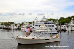 31MAY2014CPYCDolphinDock_130