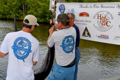 31MAY2014CPYCDolphinDock_136
