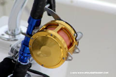 31MAY2014CPYCDolphinDock_149