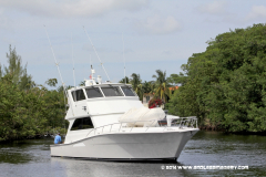 31MAY2014CPYCDolphinDock_150