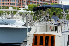 31MAY2014CPYCDolphinDock_213