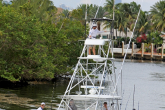 31MAY2014CPYCDolphinDock_225