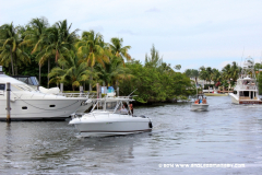 31MAY2014CPYCDolphinDock_239