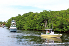 31MAY2014CPYCDolphinDock_247