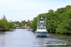 31MAY2014CPYCDolphinDock_249