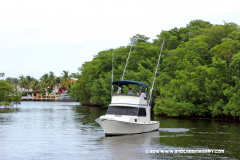 31MAY2014CPYCDolphinDock_259
