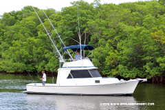 31MAY2014CPYCDolphinDock_260
