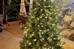 05DEC2014CocoplumHoliday_005