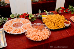 05DEC2014CocoplumHoliday_012