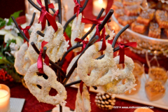 05DEC2014CocoplumHoliday_018