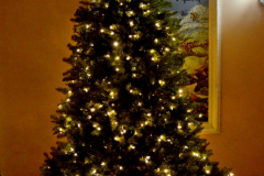 05DEC2014CocoplumHoliday_023