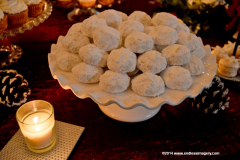 05DEC2014CocoplumHoliday_027
