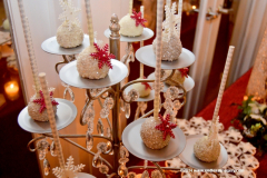 05DEC2014CocoplumHoliday_029