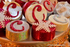 05DEC2014CocoplumHoliday_031