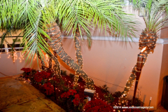 05DEC2014CocoplumHoliday_039