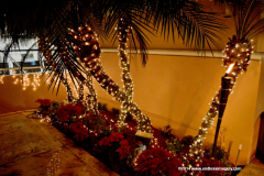 05DEC2014CocoplumHoliday_040
