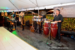 05DEC2014CocoplumHoliday_109