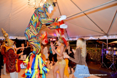 05DEC2014CocoplumHoliday_304