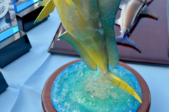 17MAY15CPYCAfternoon_0245