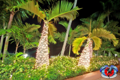 11DEC2015CPYCHoliday_048