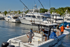 07MAY2016CPYCDolphinAfternoon_096