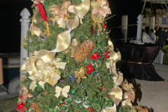09DEC2016CPYCHoliday_0037