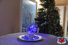 07DEC2018CPYCHoliday_0068