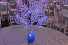 07DEC2018CPYCHoliday_0208