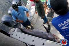 04MAY2019CPYCDolphinAfternoon_0127