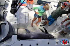 04MAY2019CPYCDolphinAfternoon_0131