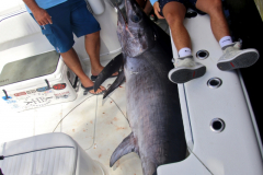 04MAY2019CPYCDolphinAfternoon_0133