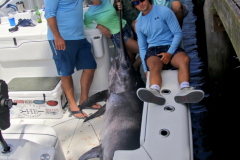 04MAY2019CPYCDolphinAfternoon_0136