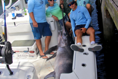 04MAY2019CPYCDolphinAfternoon_0137