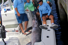 04MAY2019CPYCDolphinAfternoon_0153